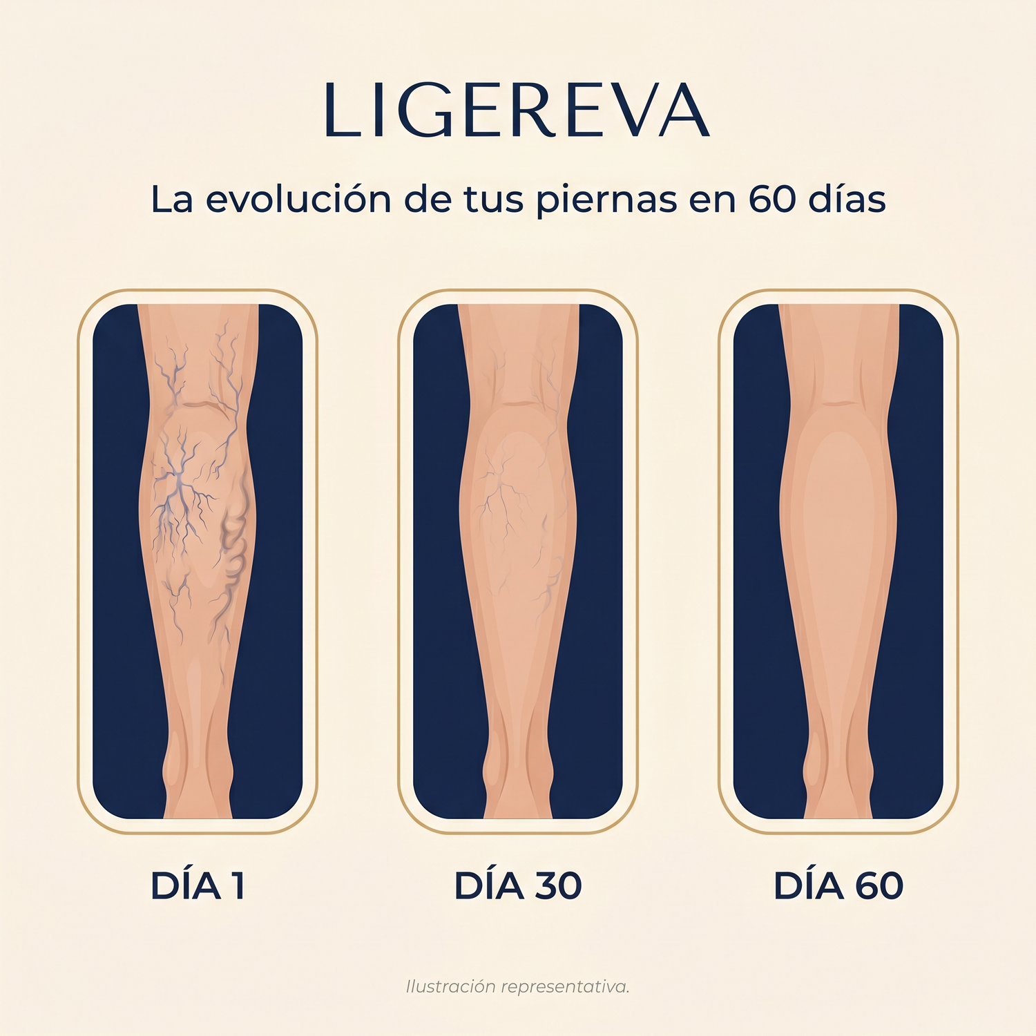 Evolución en 60 días